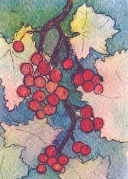 Grapes Of WRAP II Ginny Bores Madison WI watercolor & ink
